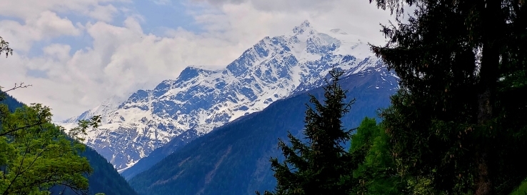 Stimmungsbild-Louisette-Van Linden-1